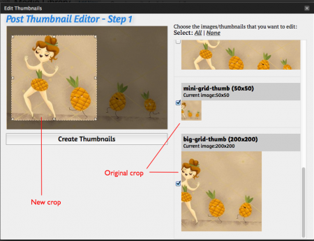 WP Post Thumbnail Editor Plugin