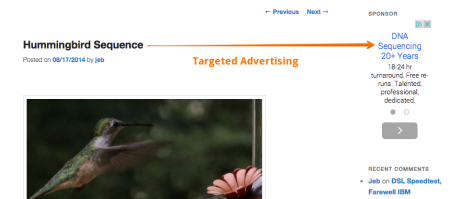 Hummingbird-Sequence-DNA-advertisement