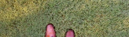 grass.2012-06-07-1000x288.jpg