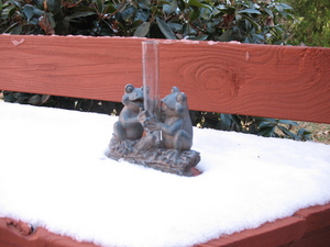 tucker-rain-gauge-frogs-snow.jpg