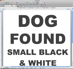 dog-found-2.png